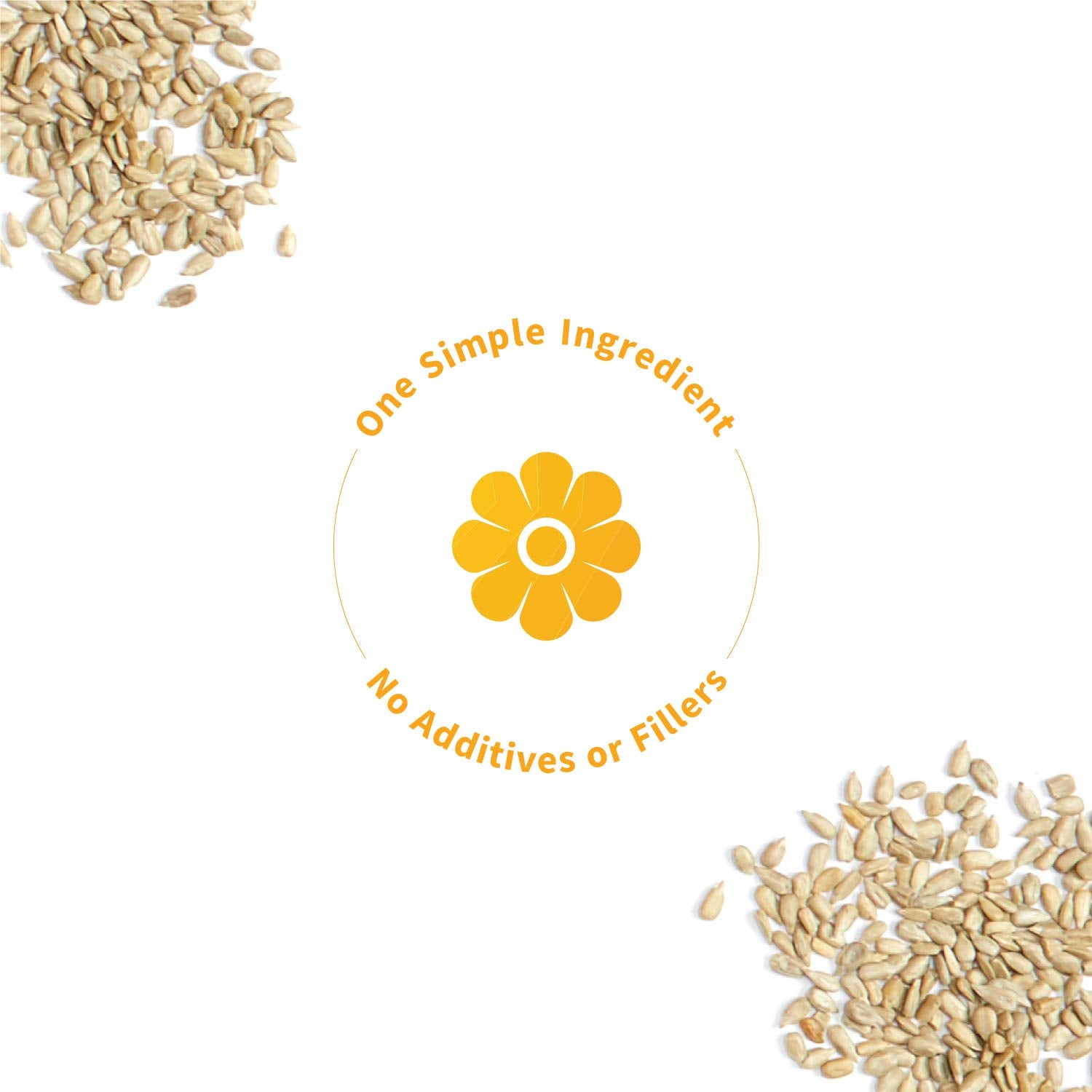 Sprout Living Sunflower Seed Protein Powder used in gluten-free baking and recipes