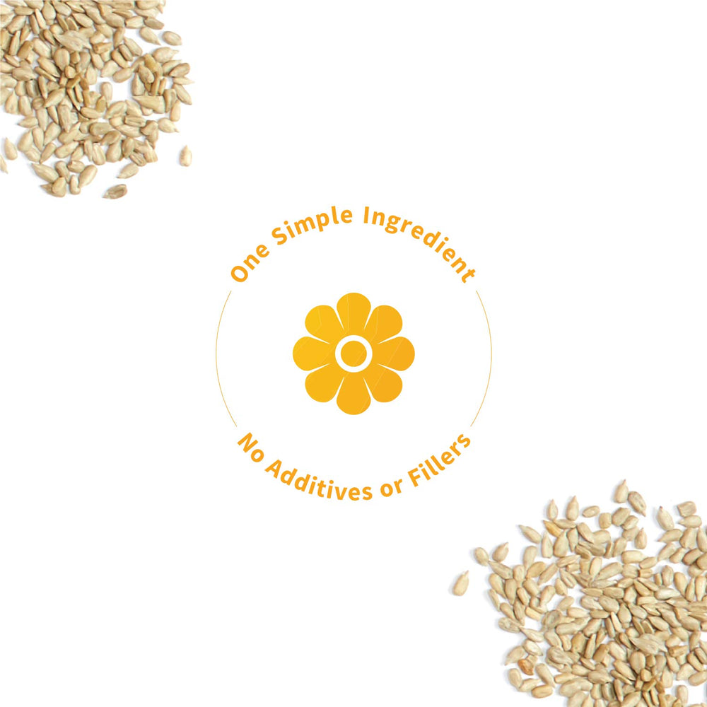 Sprout Living Sunflower Seed Protein Powder used in gluten-free baking and recipes