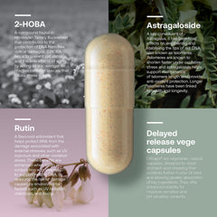 SRW Cel¹ Stability capsules in bottle for easy daily dosing