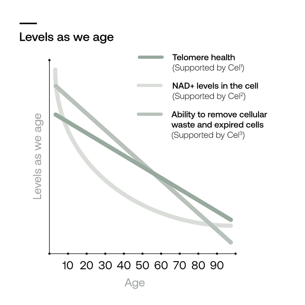 SRW Cel¹ Stability lifestyle context with daily supplement routine