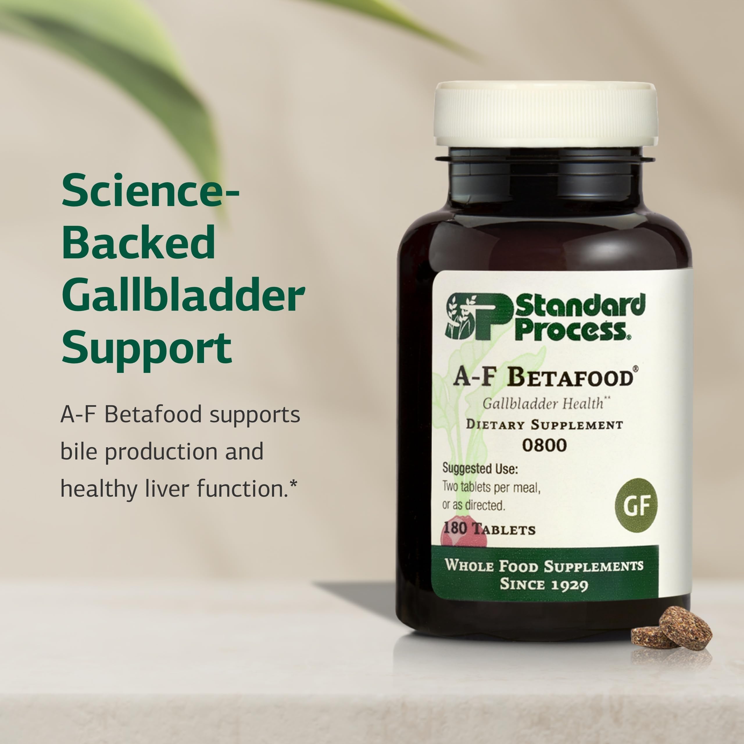 Standard Process packaging shows gluten-free, non-dairy, non-soy labeling for dietary fit.