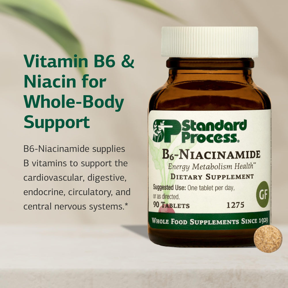 Standard Process B6-Niacinamide tablets closeup, showcasing gluten-free and non-dairy options.