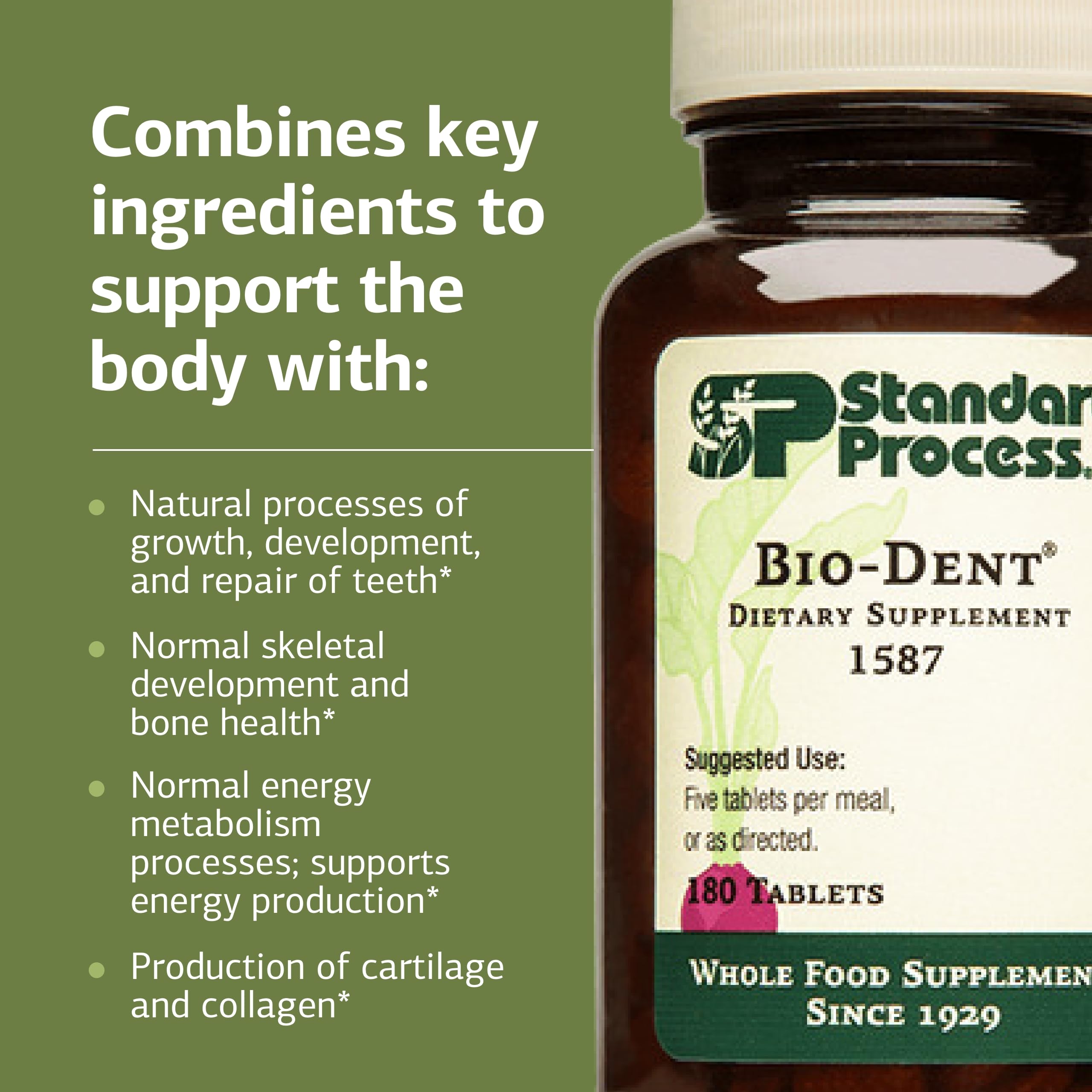Bio-Dent cartilage-collagen focus image emphasizing cartilage and collagen production