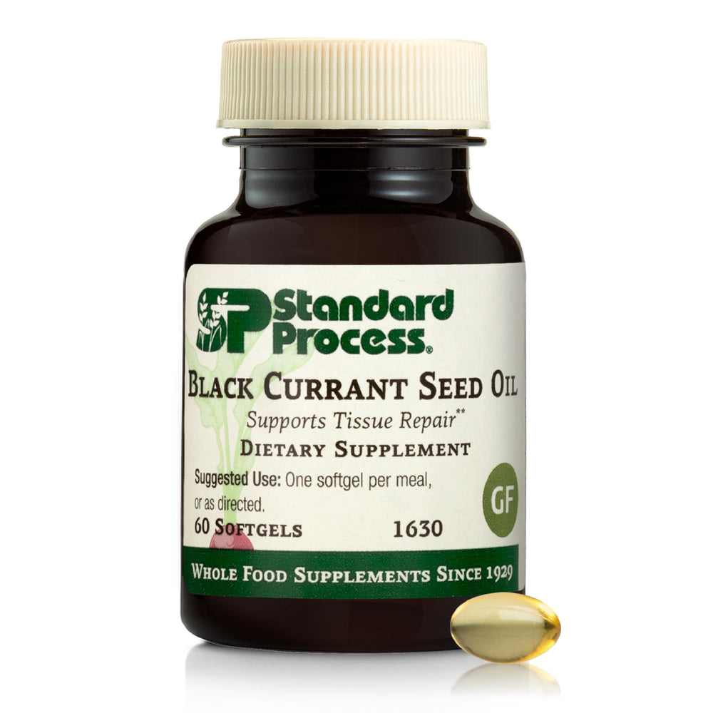 Standard Process Black Currant Seed Oil bottle shown for everyday tissue wellness.