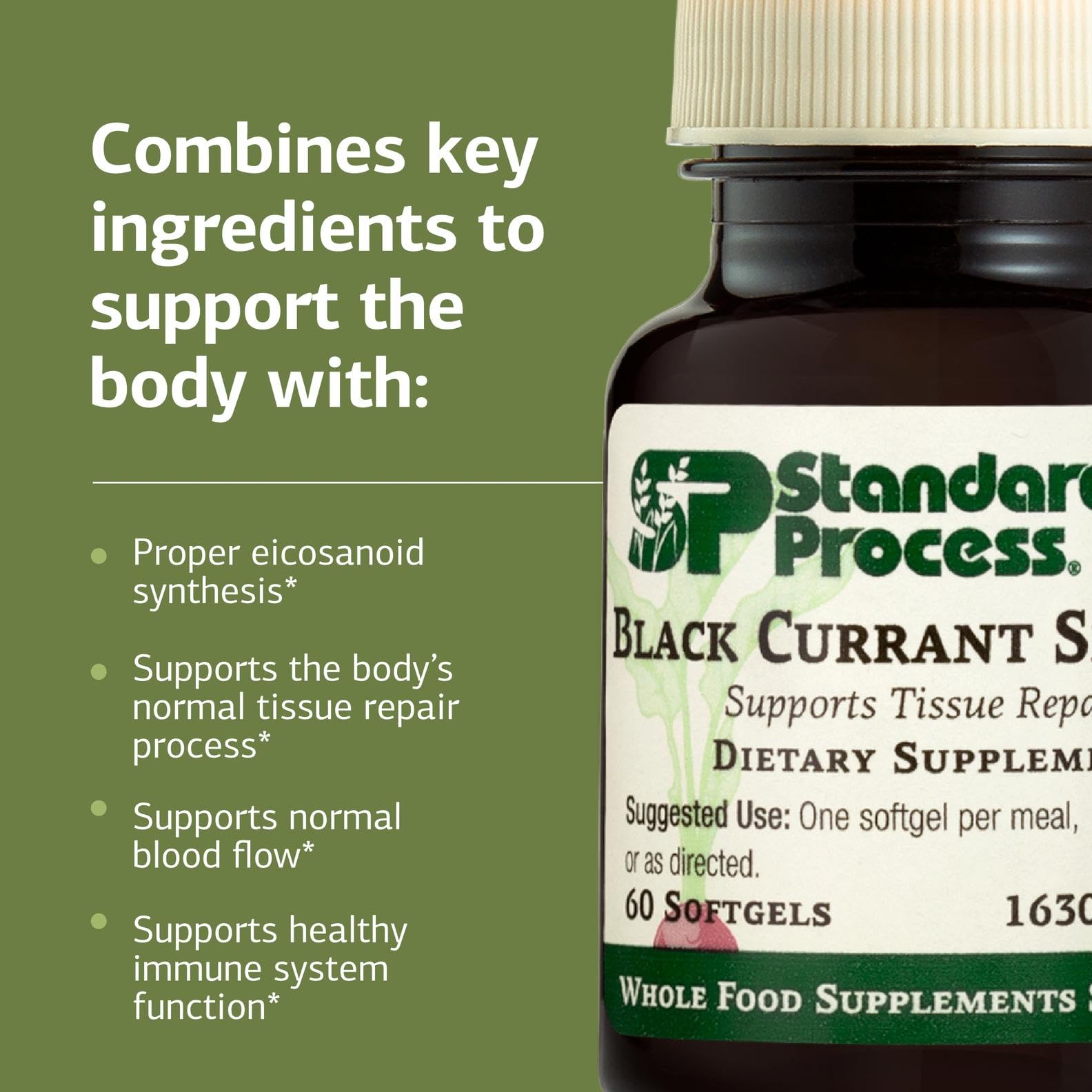 Pouring Standard Process Black Currant Seed Oil demonstrates convenient daily serving.