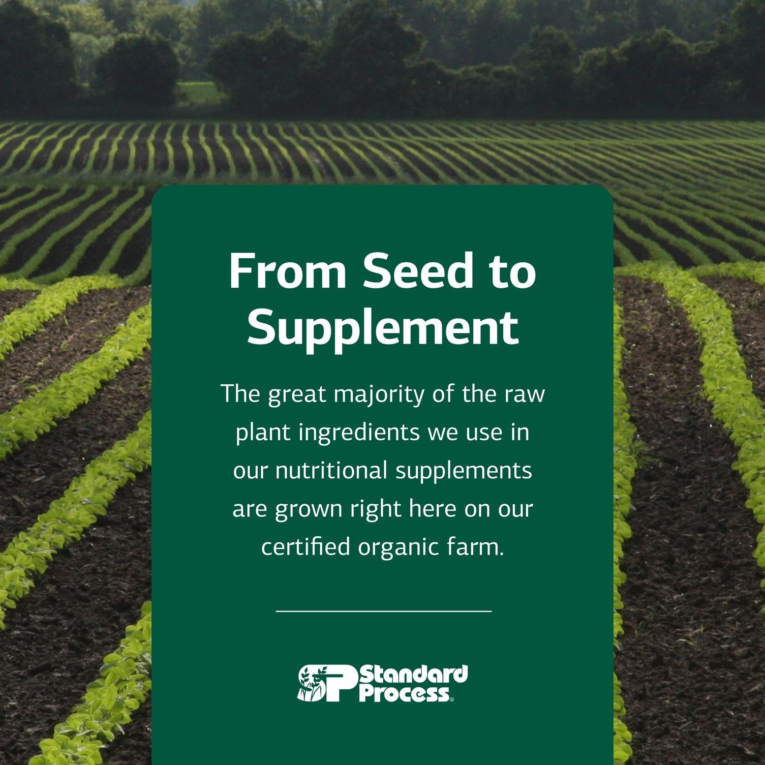 Standard Process bottle label closeup with product details and benefits.