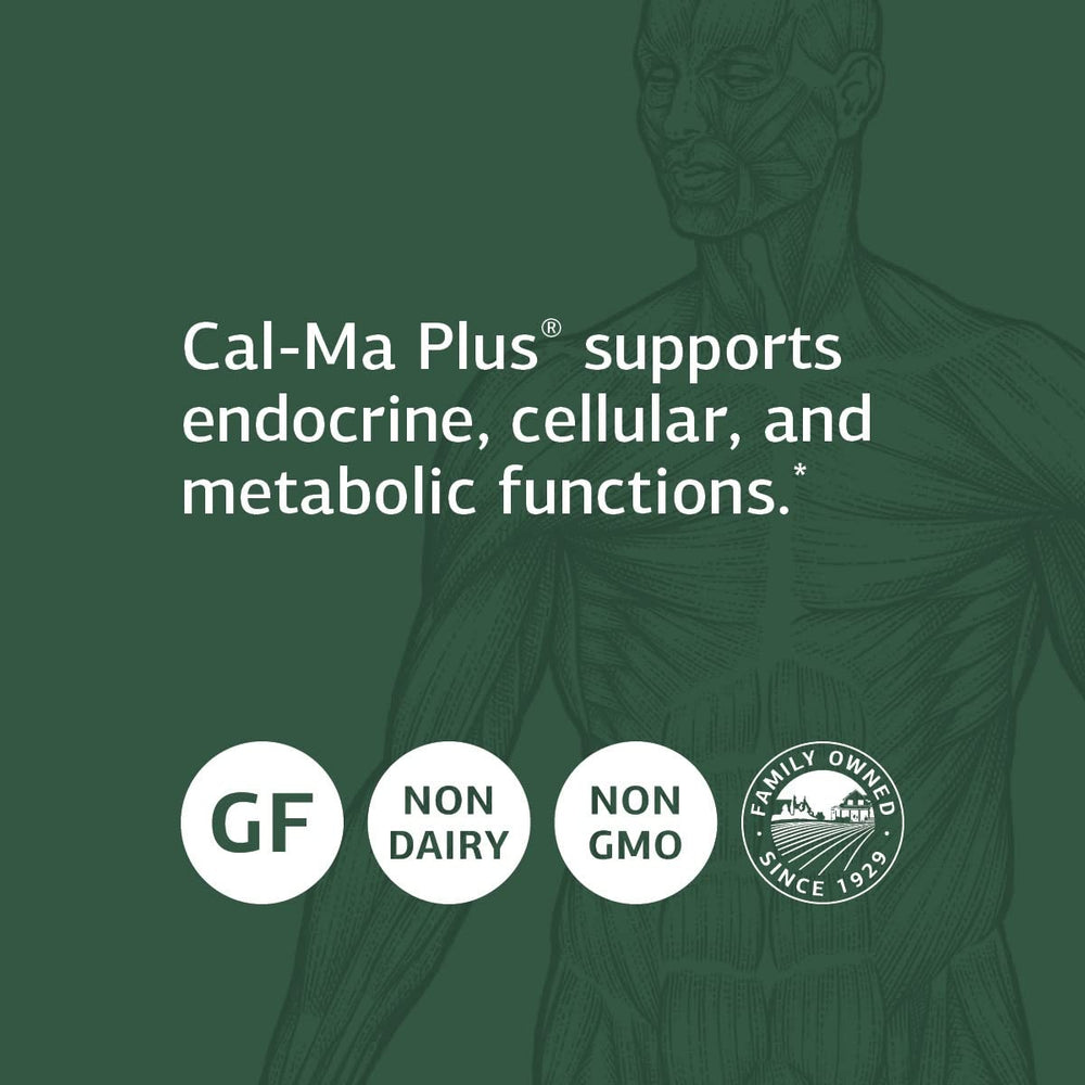 Standard Process Cal-Ma Plus key ingredient calcium lactate highlighted for mineral support