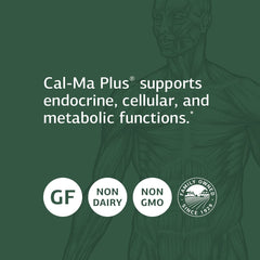 Standard Process Cal-Ma Plus key ingredient calcium lactate highlighted for mineral support