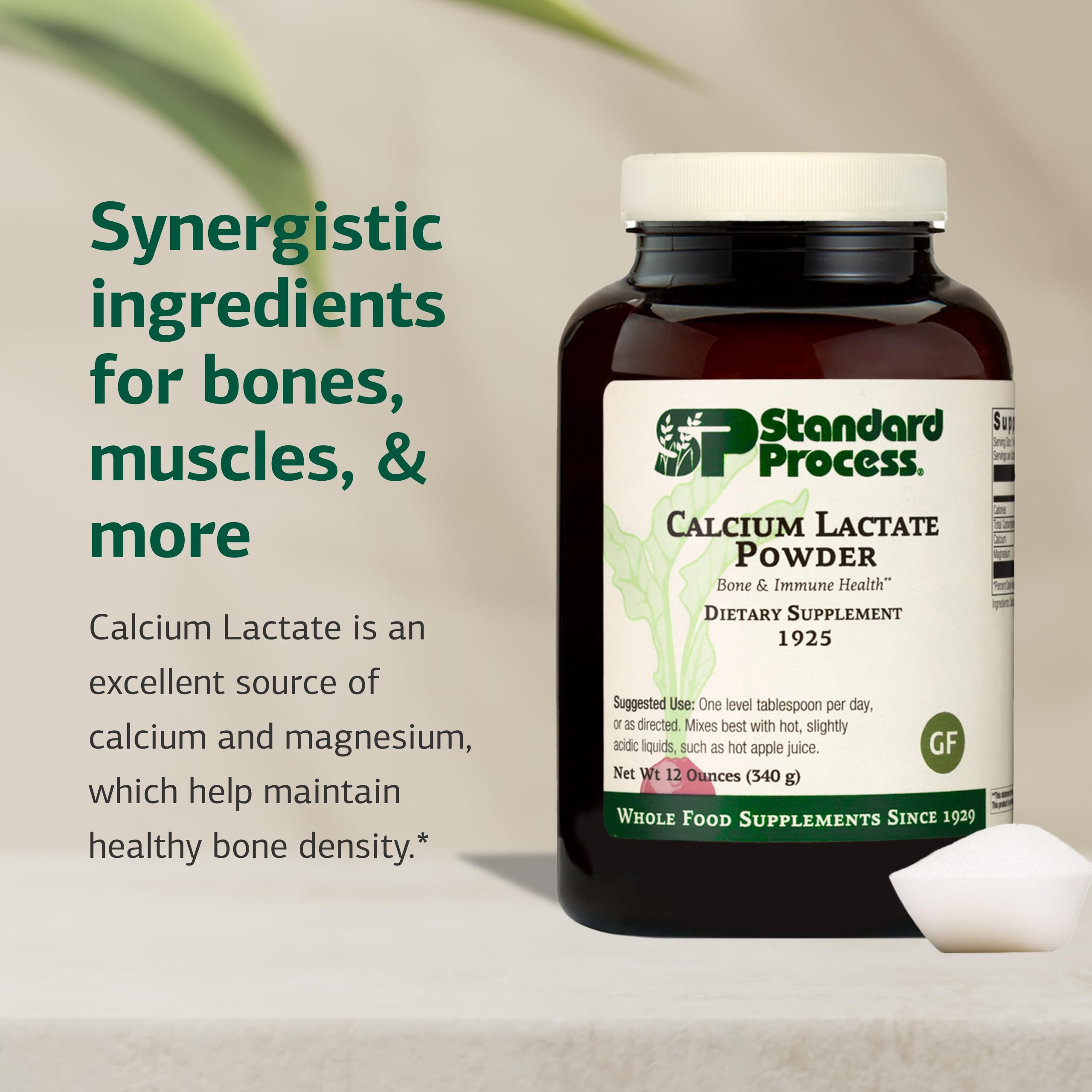 Standard Process Calcium Lactate Powder label closeup highlights calcium to magnesium balance.