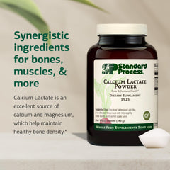Standard Process Calcium Lactate Powder label closeup highlights calcium to magnesium balance.