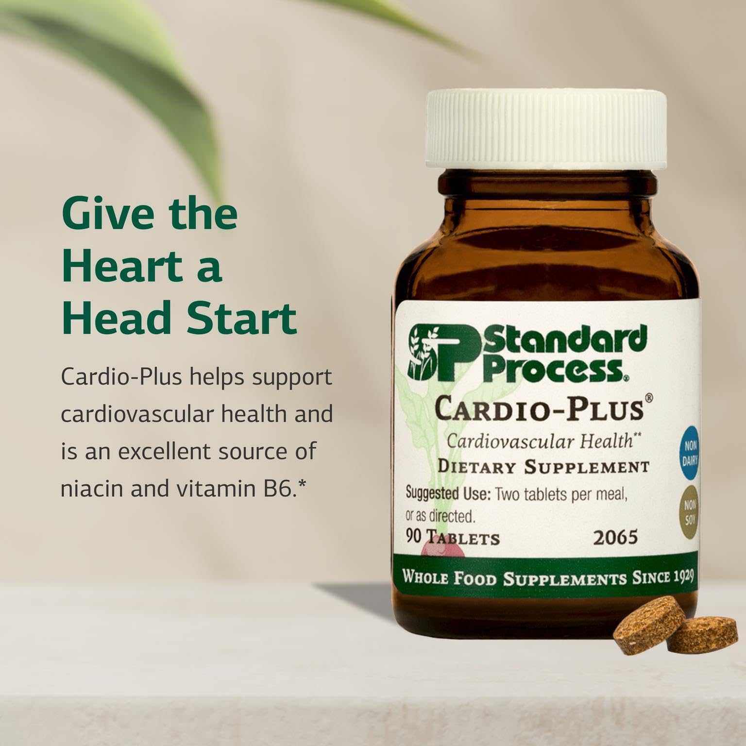 Standard Process Cardio-Plus label detail emphasizing B6, niacin, and riboflavin