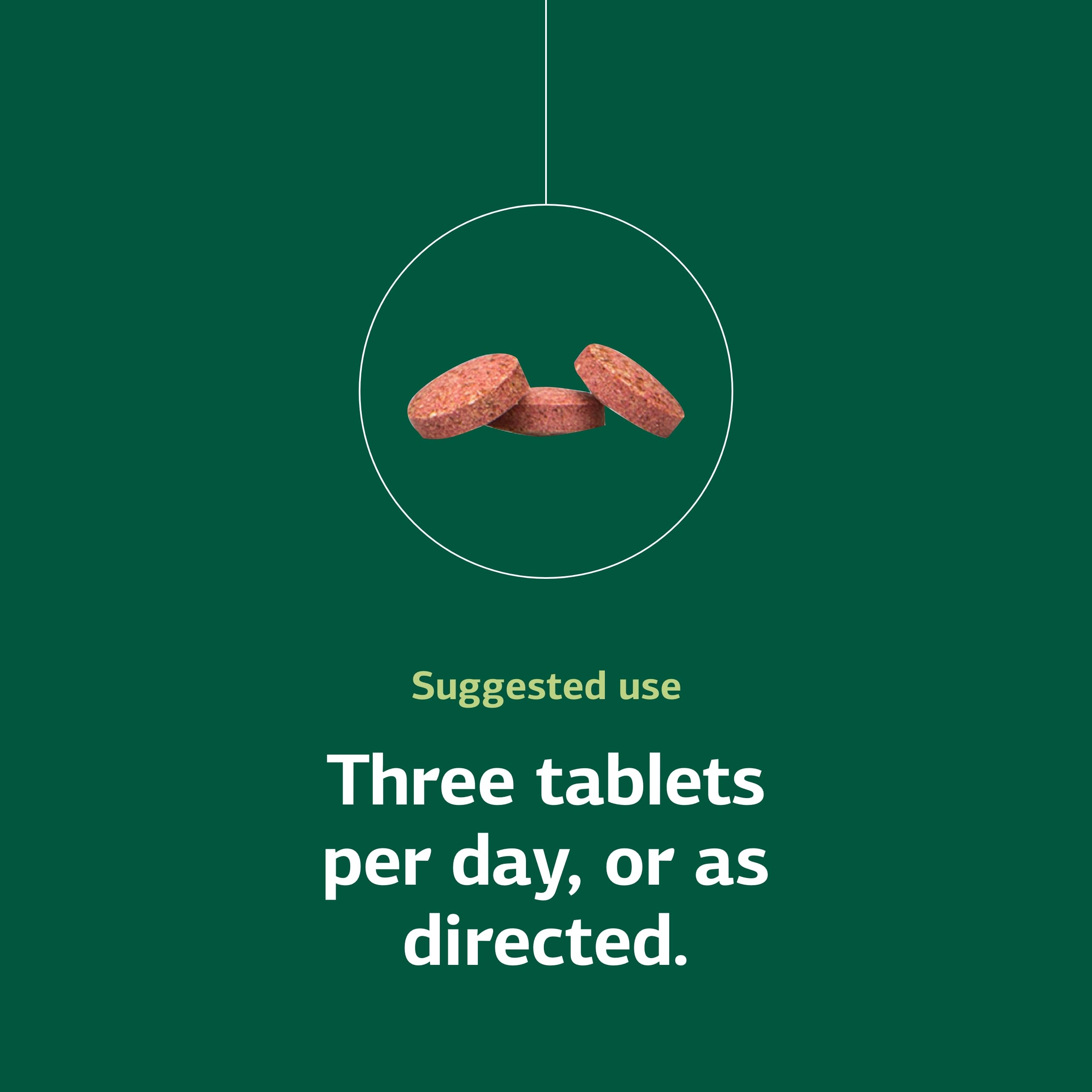 Standard Process Catalyn Chewable tablets held in hand for scale and accessibility.