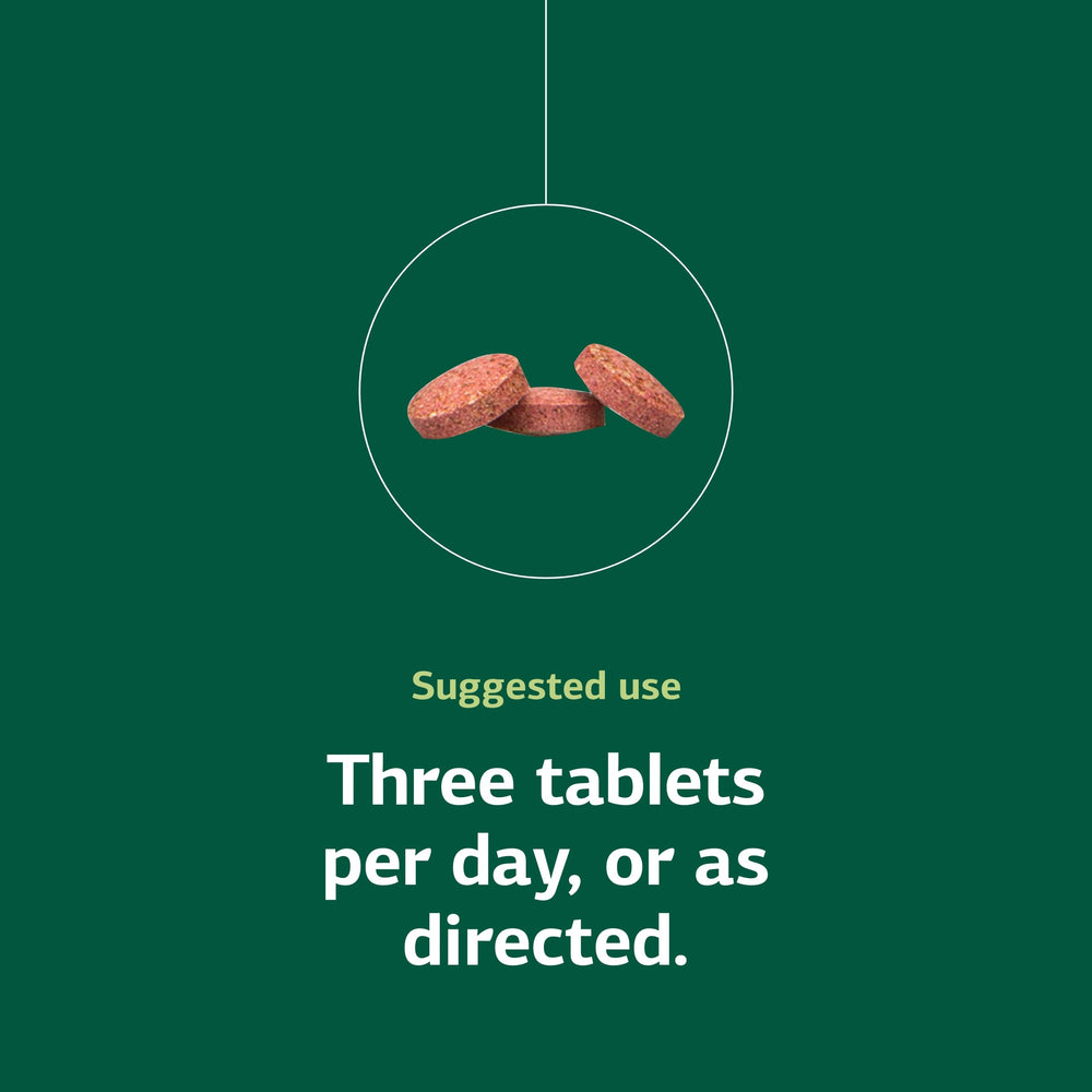 Standard Process Catalyn Chewable tablets held in hand for scale and accessibility.