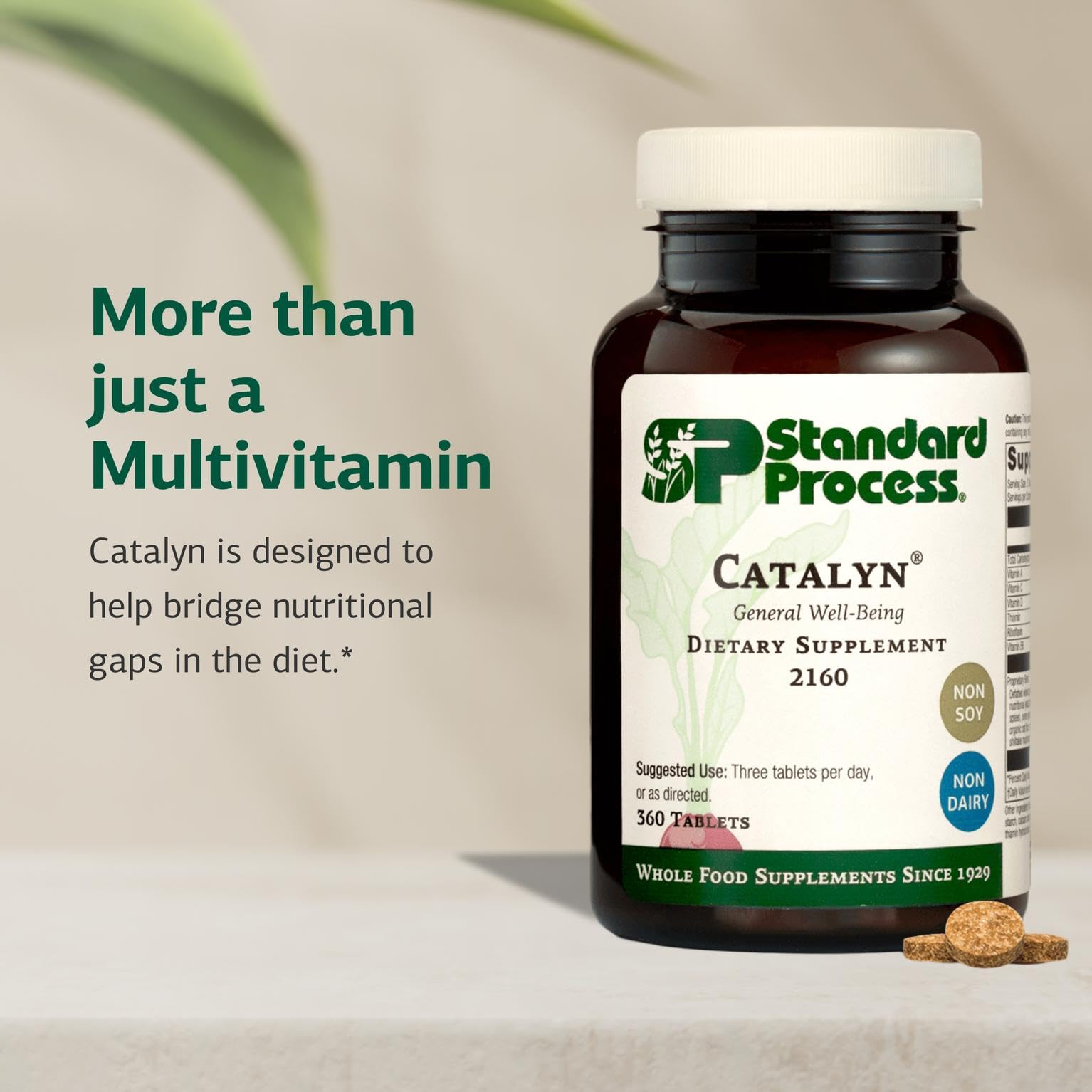 Standard Process Catalyn tablets closeup emphasizing vitamin-rich profile for everyday vitality