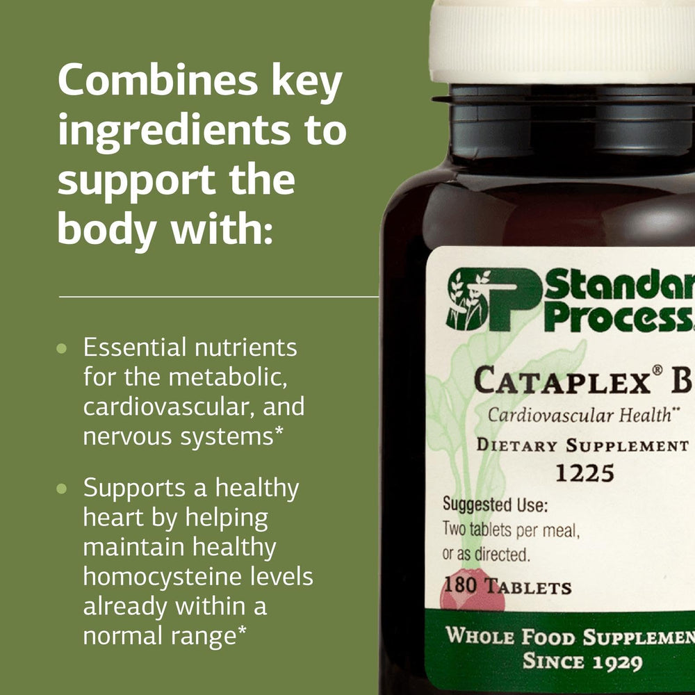 Graphic illustrating energy support from Cataplex B by Standard Process