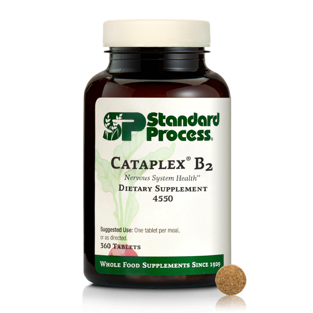 Standard Process Cataplex B2 bottle front with label highlighting nerve support potential.