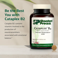 Standard Process Cataplex B2 tablets scattered on white surface.