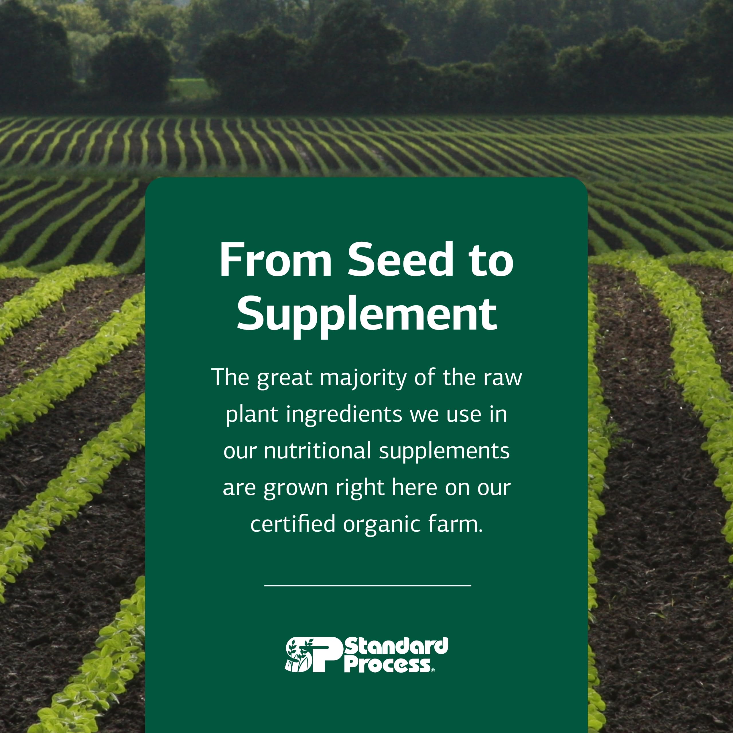 Standard Process Cataplex C product closeup emphasizing non-dairy, non-soy formulation.