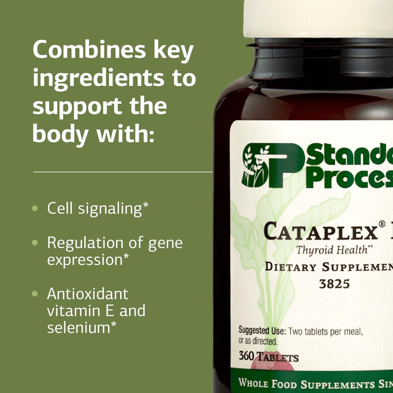Standard Process Cataplex E bottle back with product details and brand heritage.