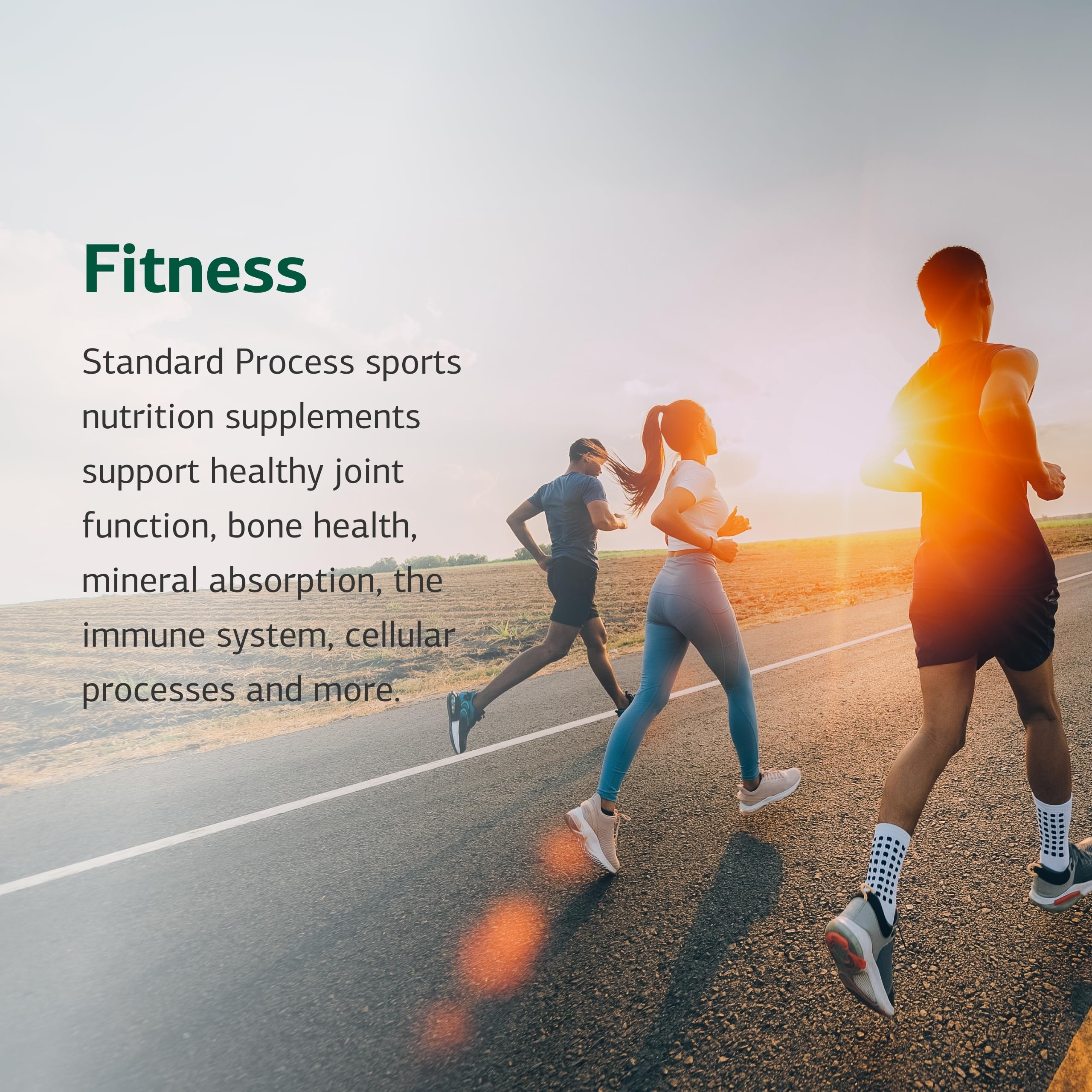 Cataplex E2 tablets inside bottle ready for daily supplementation.