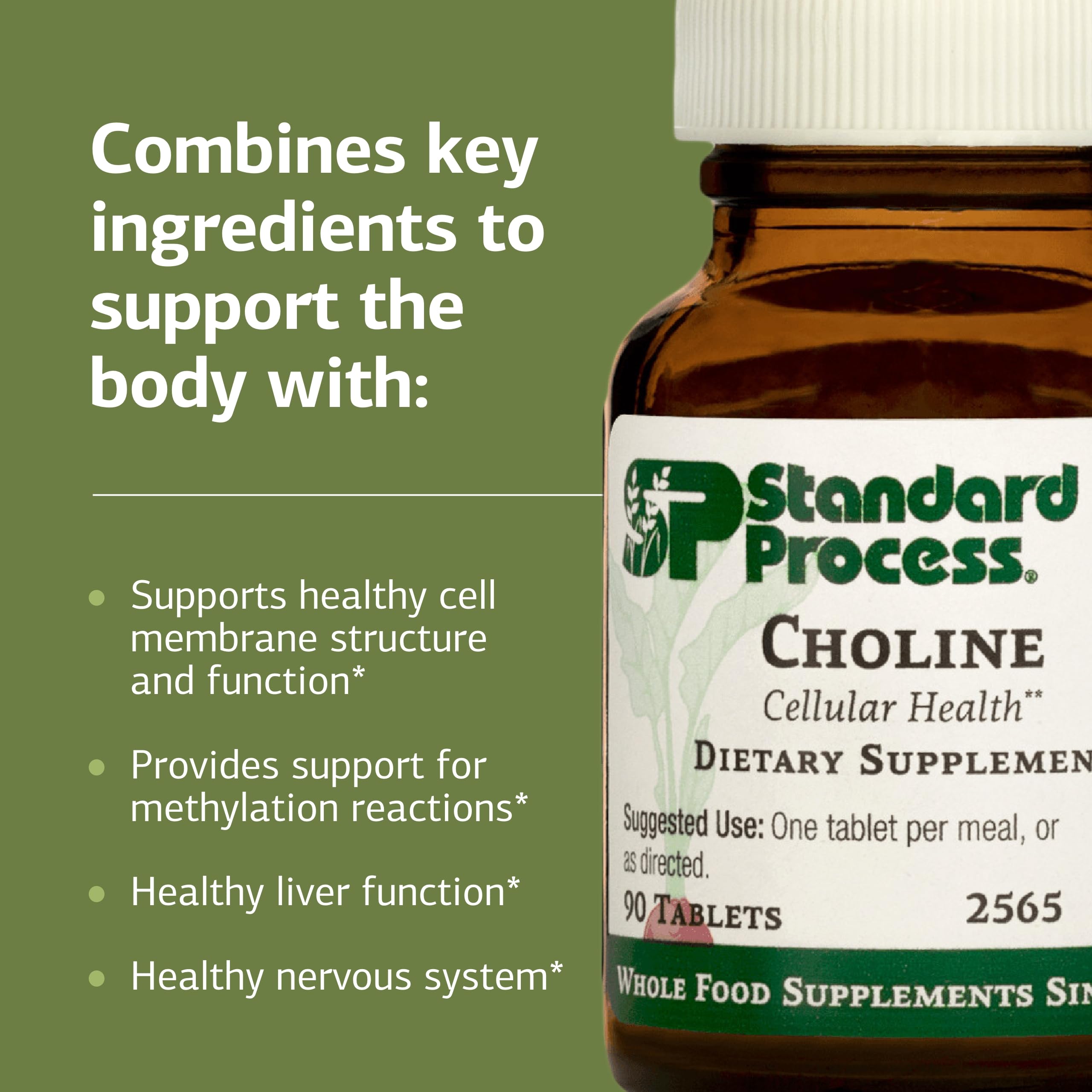 Standard Process Choline ingredient label highlights choline bitartrate.