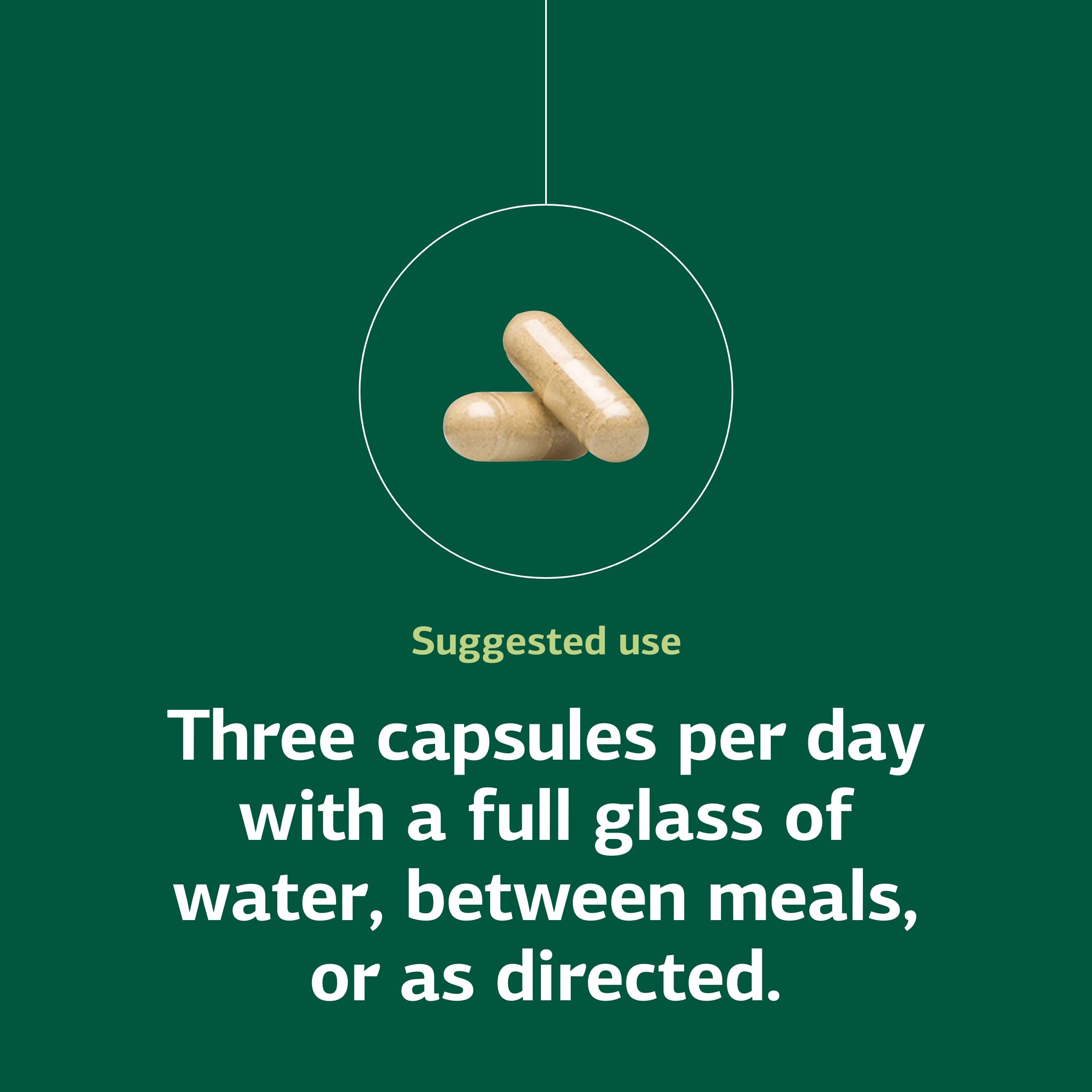 Standard Process Collinsonia Root capsules beside a plant illustrating natural digestive support
