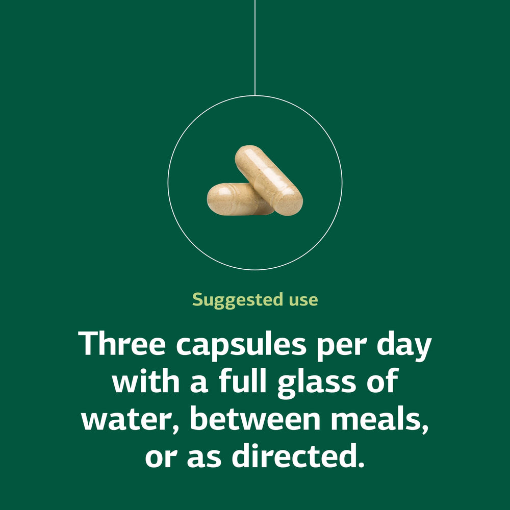 Standard Process Collinsonia Root capsules beside a plant illustrating natural digestive support