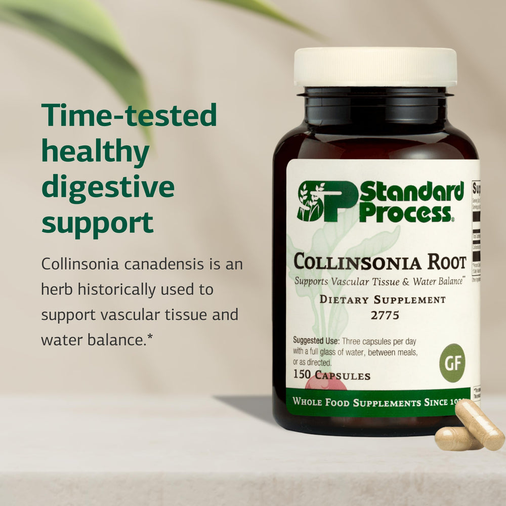 Standard Process Collinsonia Root label close-up highlighting gluten-free and non-dairy features