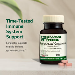 Congaplex raspberry powder detail highlights natural flavor for easy consumption.