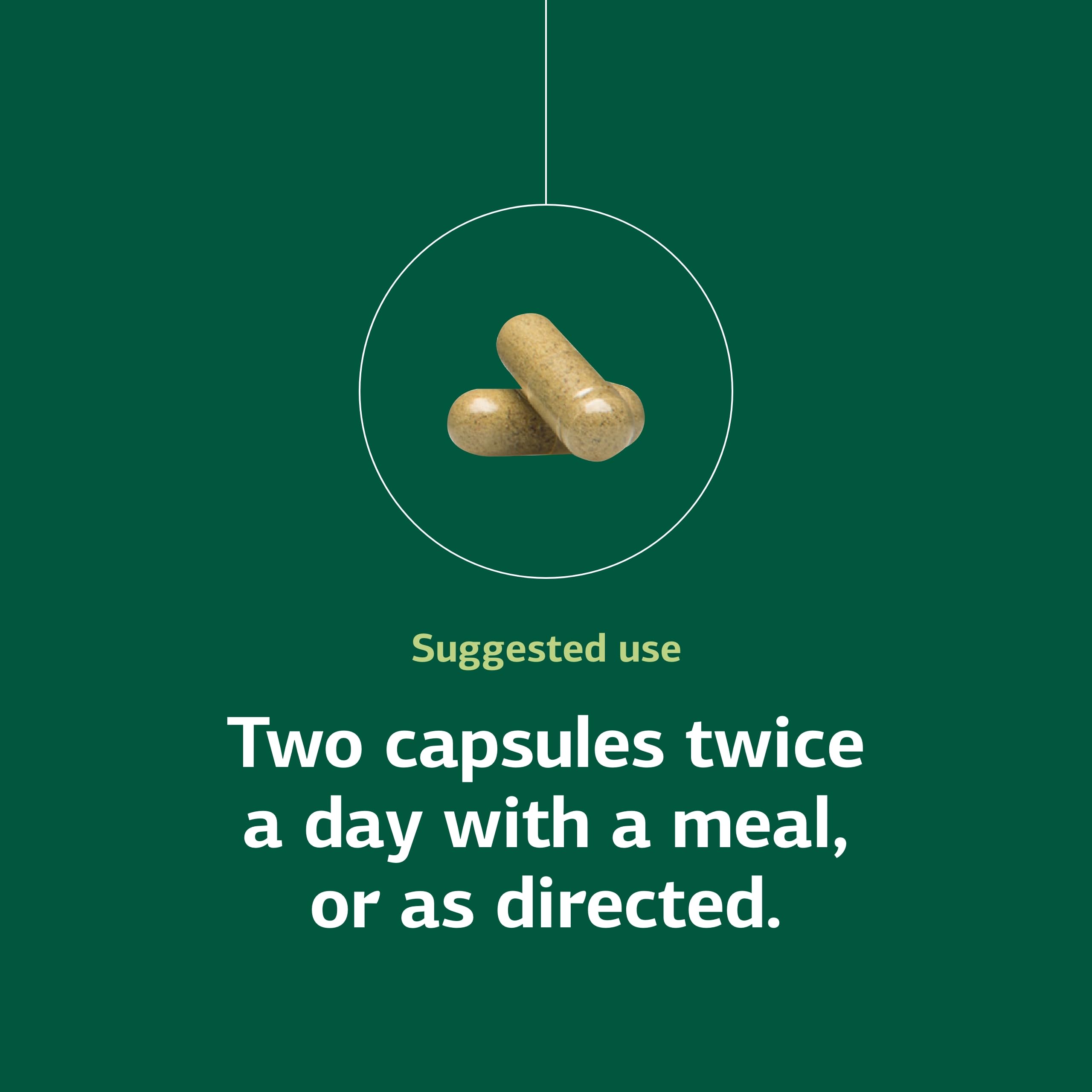 Standard Process Diaplex non-dairy capsules offer dietary flexibility.