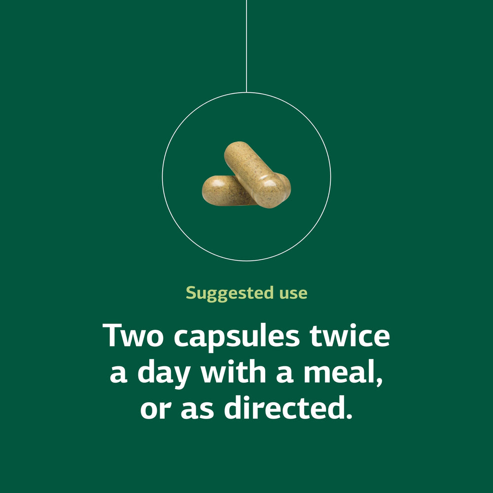 Standard Process Diaplex non-dairy capsules offer dietary flexibility.