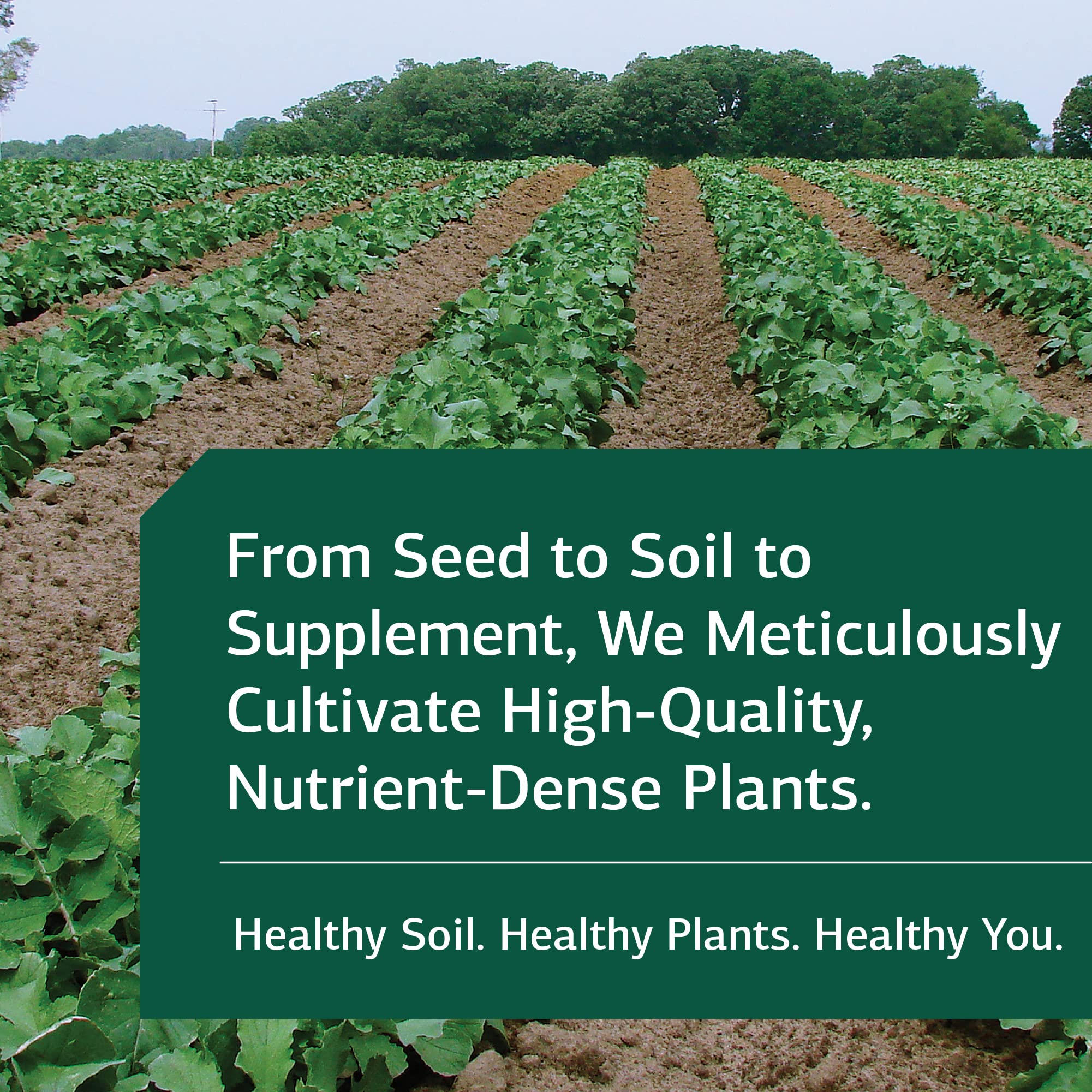 Gluten-free badge on packaging indicating dietary compatibility