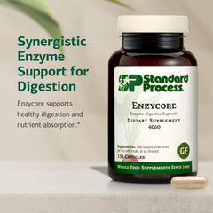 Standard Process Enzycore capsules poured to show easy daily intake.