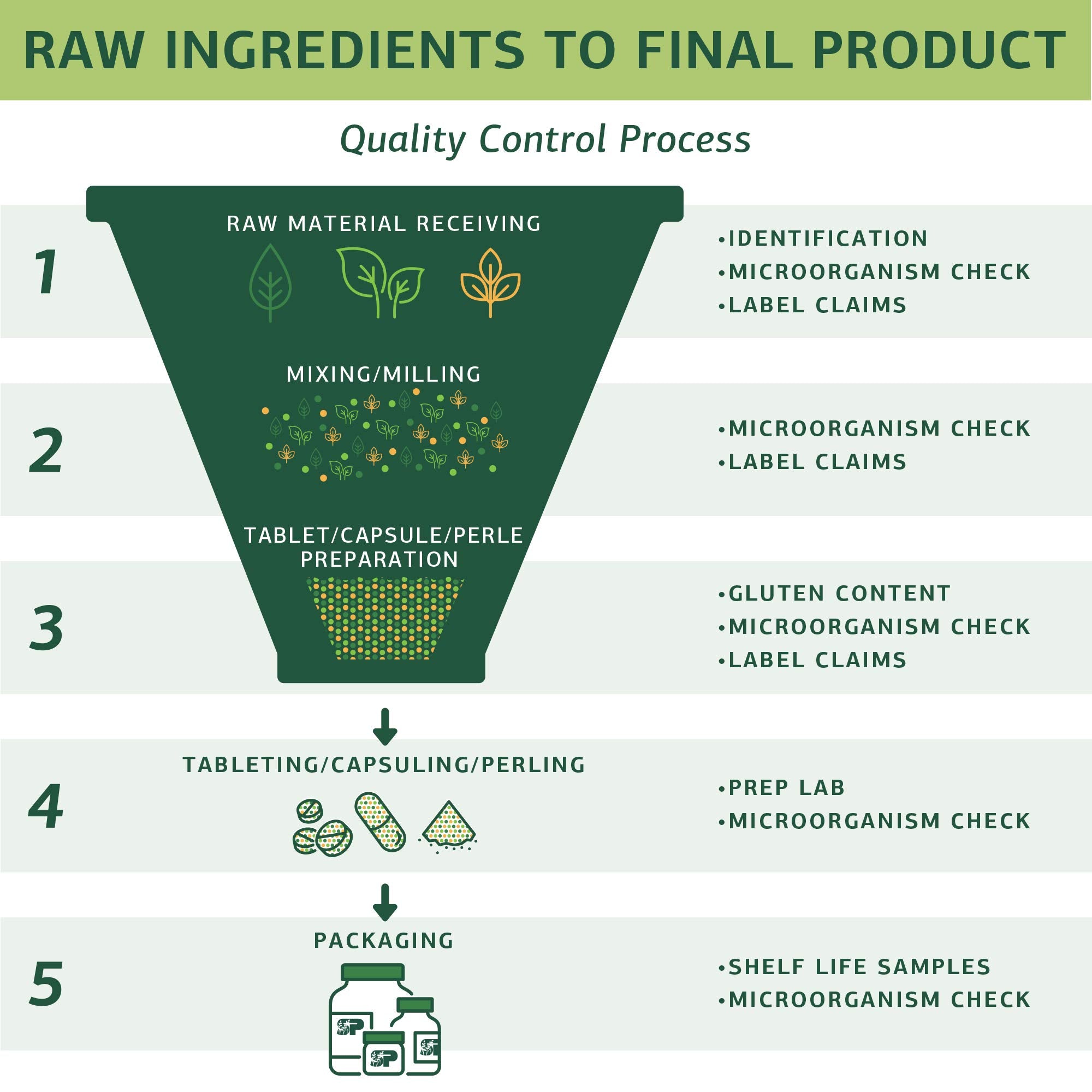 Standard Process Enzycore capsules with clean wellness visuals.