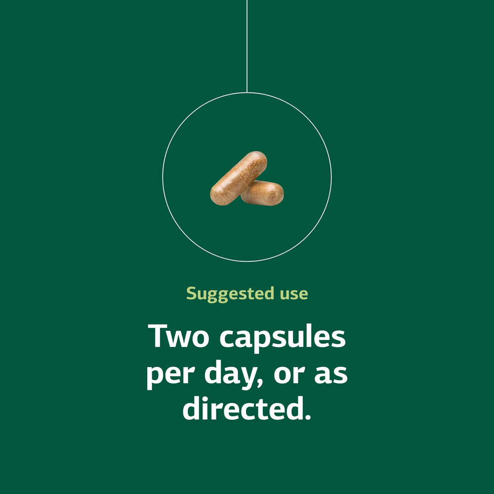 Standard Process Epimune Complex natural ingredients image suggests maitake and turkey tail mushroom synergy