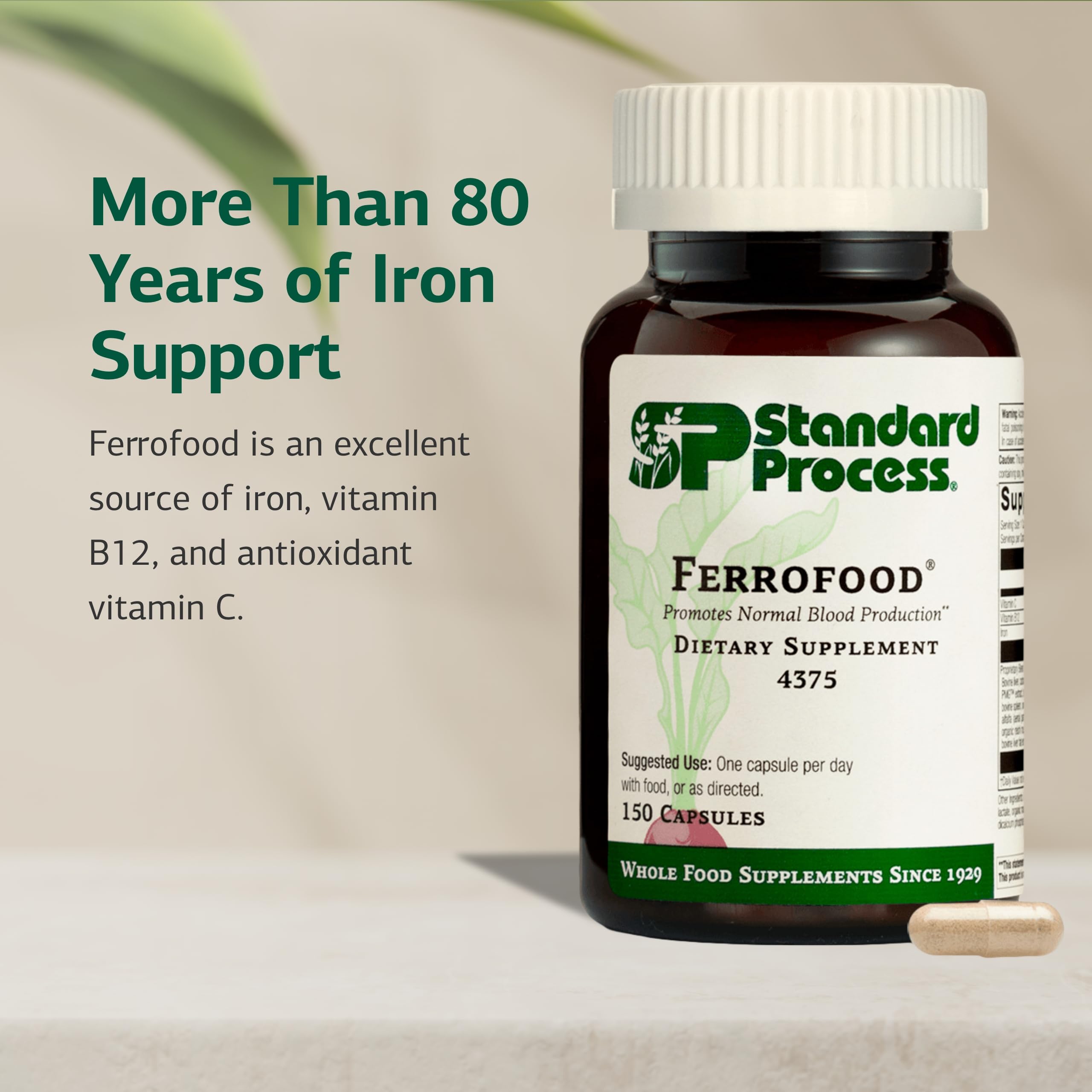 Standard Process Ferrofood label closeup highlights iron and vitamin blend.