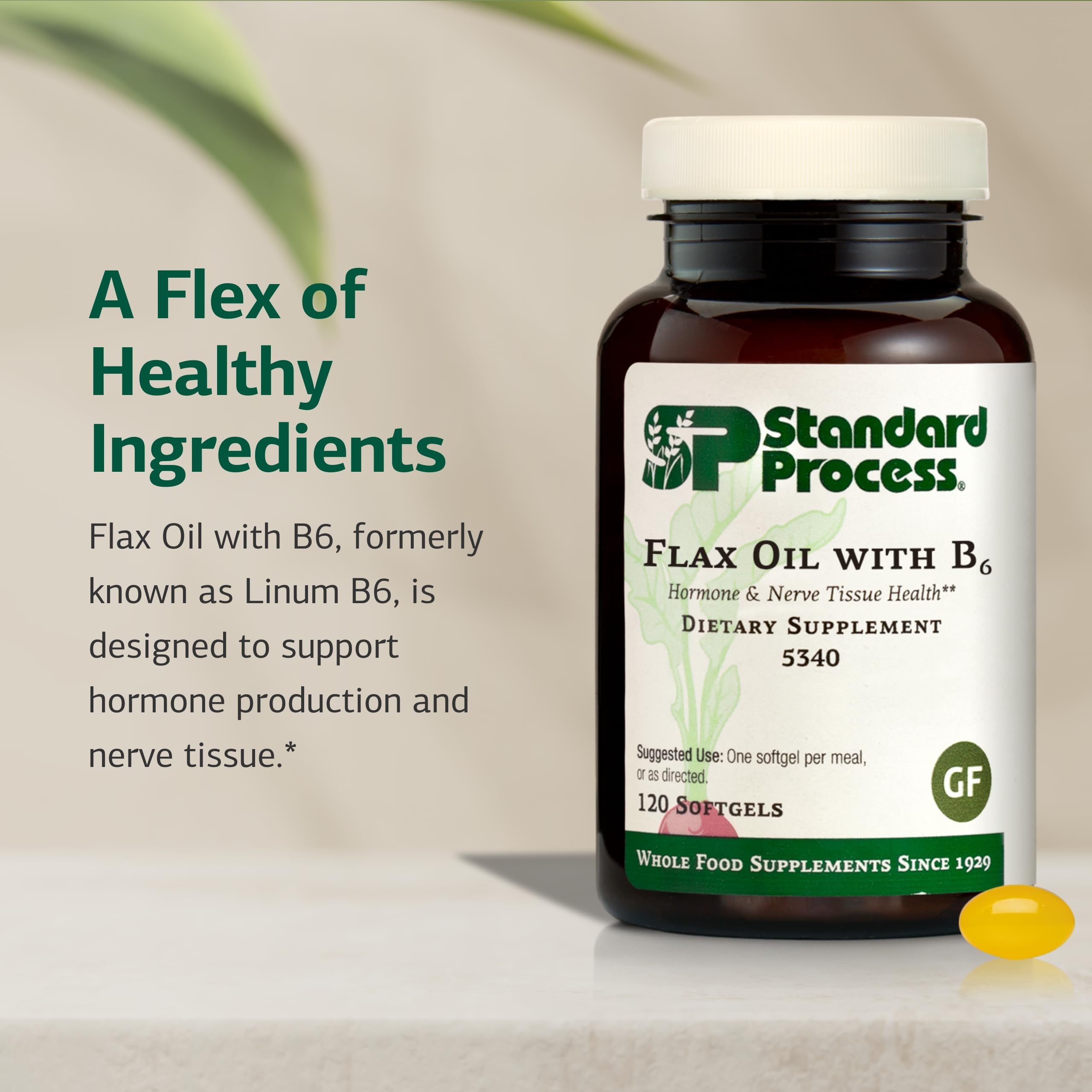 Standard Process Flax Oil with B6 ingredients chart highlights whole-food origin and B6