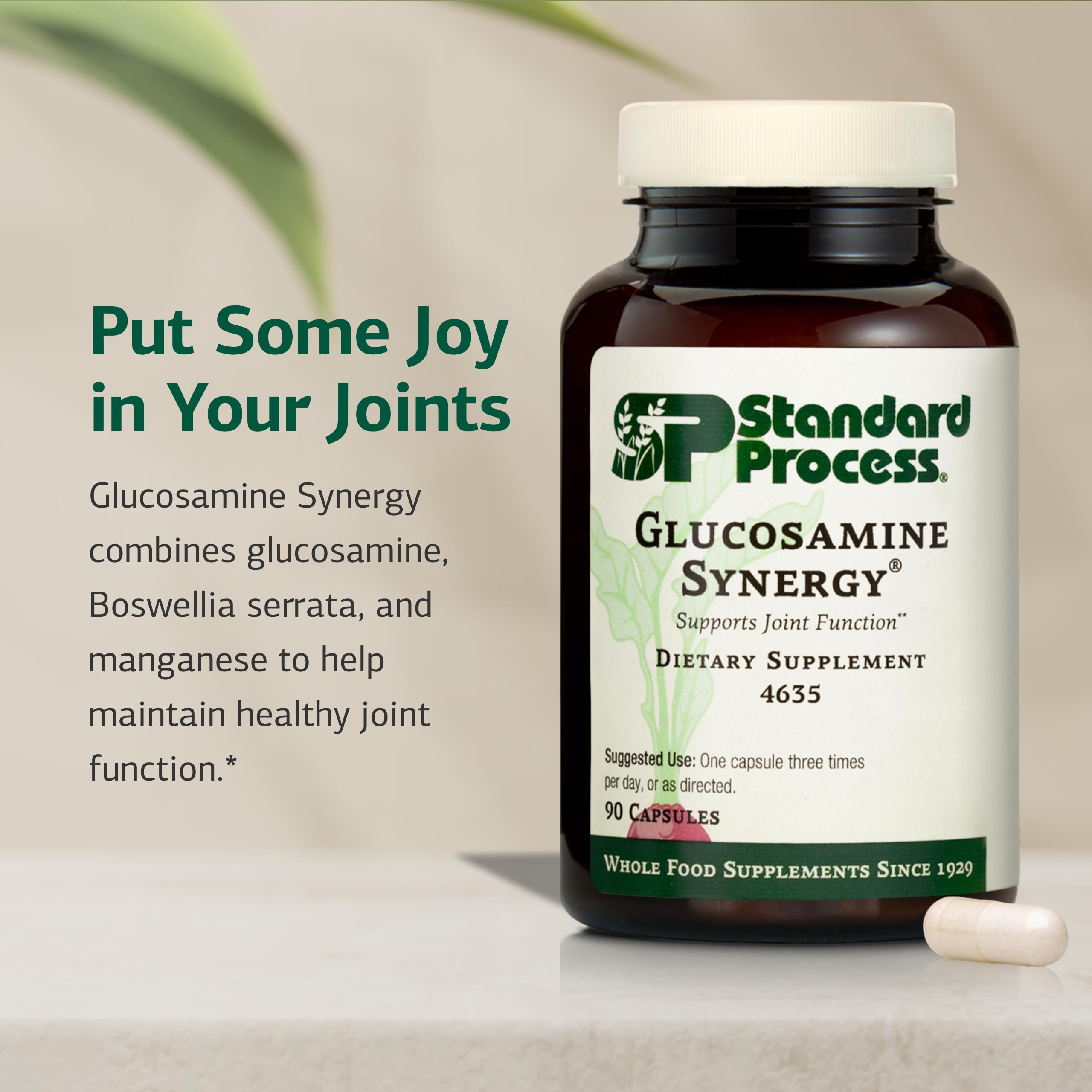 Standard Process Glucosamine Synergy capsules close-up for easy daily use.