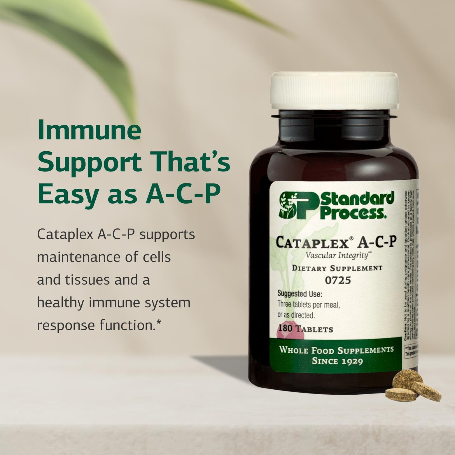 Standard Process Cataplex A-C-P tablets closeup showing nutrient-rich formula for daily immune and vascular support.