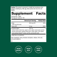 Standard Process Folic Acid B12-180 tablets close-up highlighting texture and easy dosing.