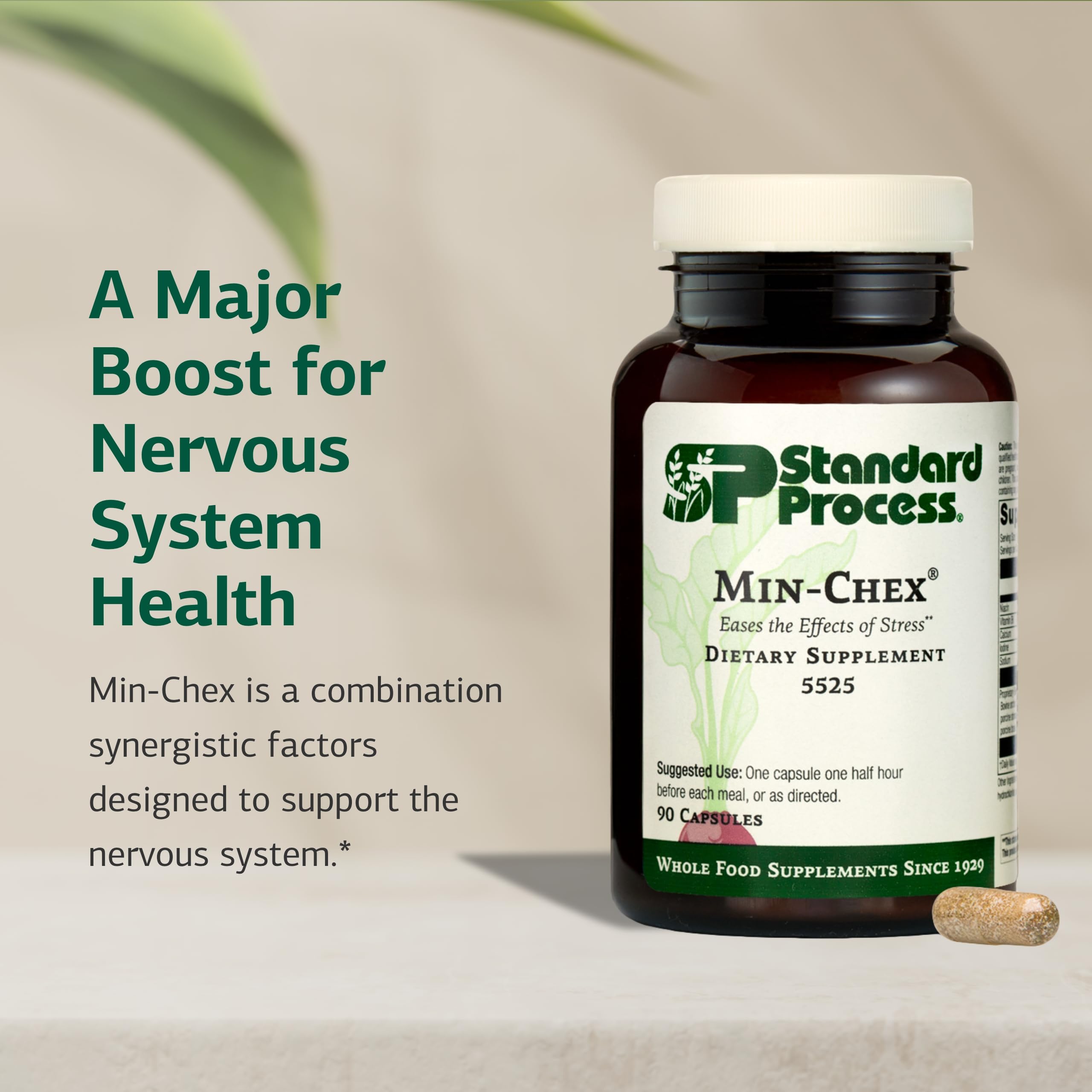 Standard Process Min-Chex capsules ready to take for focused brain health.