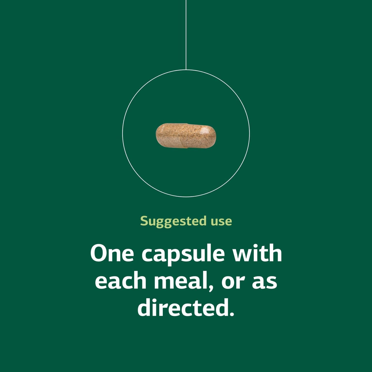 Standard Process Multizyme 90 capsules count emphasizes convenient daily use.