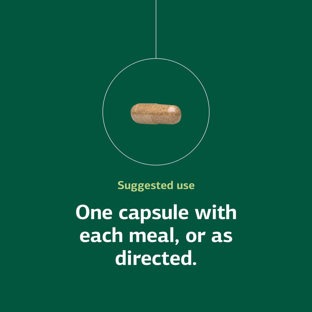 Standard Process Multizyme 90 capsules count emphasizes convenient daily use.
