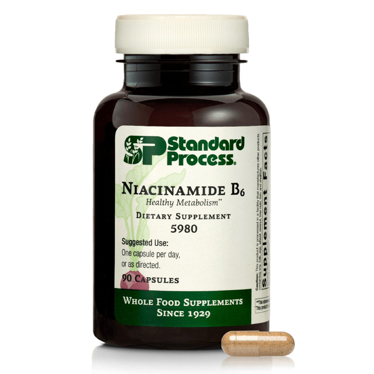 Standard Process Niacinamide B6 bottle front supports daily energy and overall wellness
