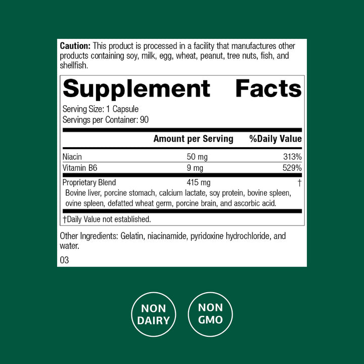 Standard Process Niacinamide B6 capsules closeup supports energy production
