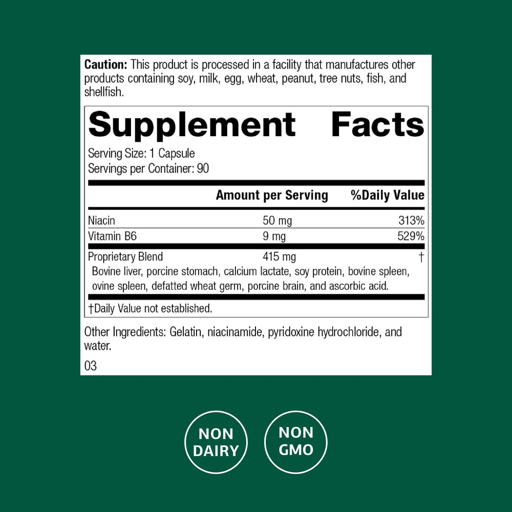 Standard Process Niacinamide B6 capsules closeup supports energy production