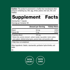 Standard Process Niacinamide B6 capsules closeup supports energy production