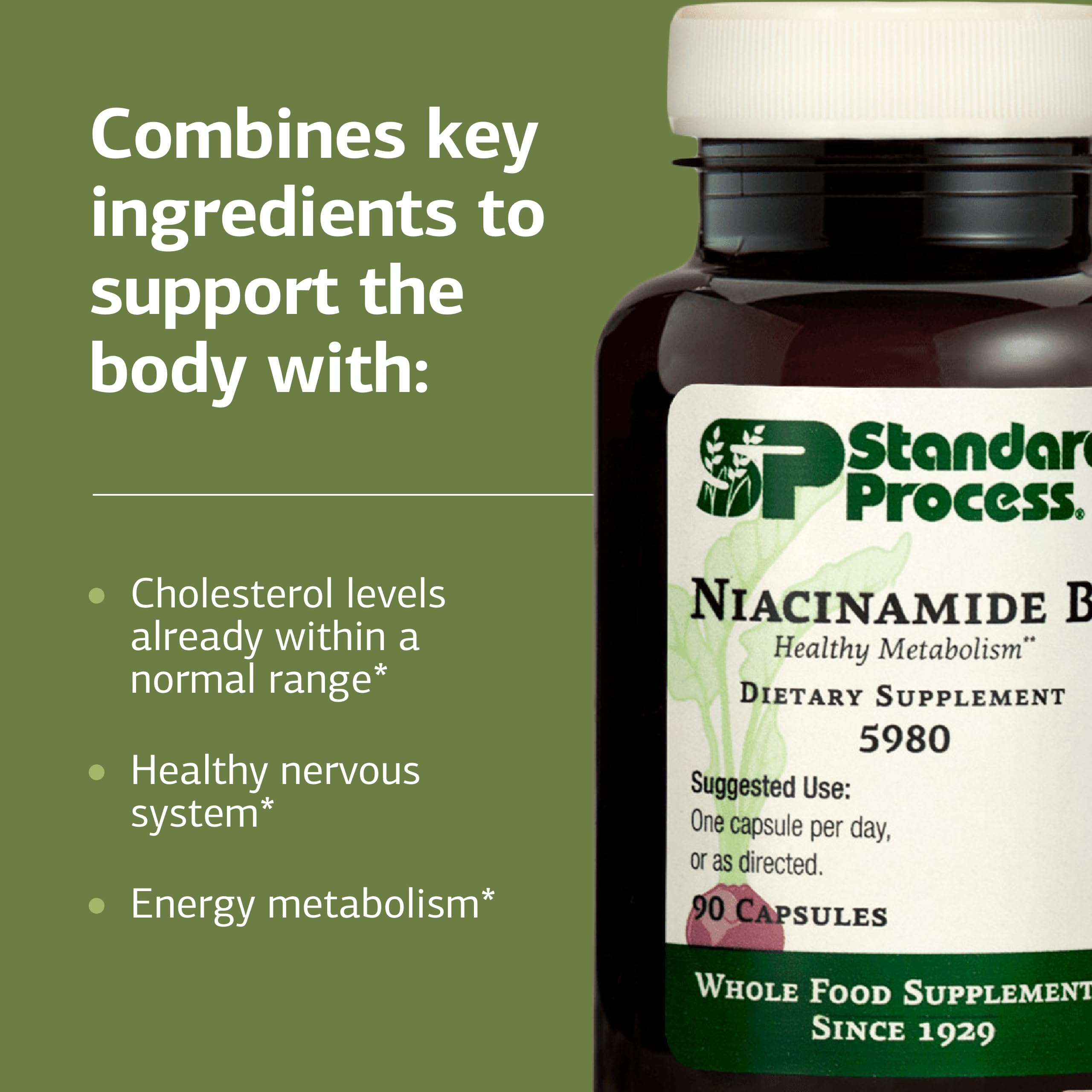 Standard Process Niacinamide B6 ingredients panel highlights essential B vitamins for wellness
