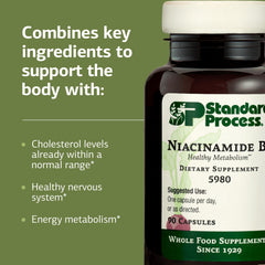 Standard Process Niacinamide B6 ingredients panel highlights essential B vitamins for wellness