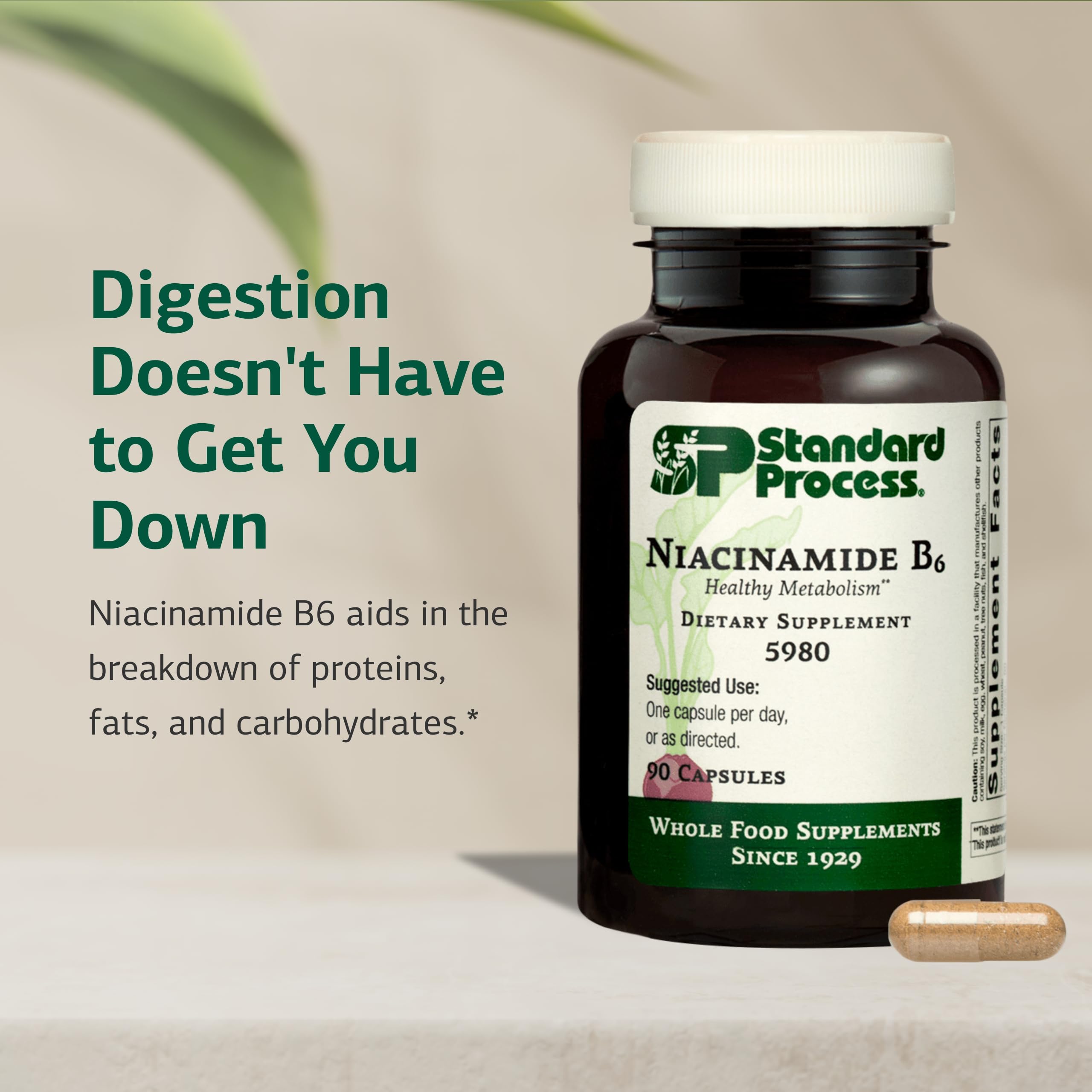 Standard Process Niacinamide B6 label back provides dosage details for nervous system support